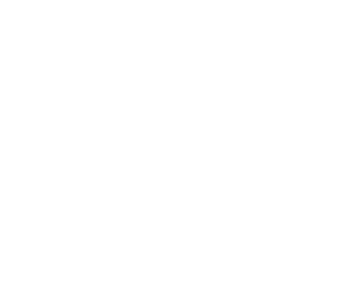 Troy Parker Logo